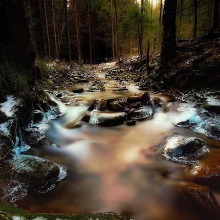 Bike Bistro A Penzion U Vsech Andelu Nove Mesto pod Smrkem Buitenkant foto